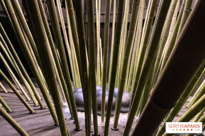 Black Bamboo de Nils-Udo à la Fondation EDF