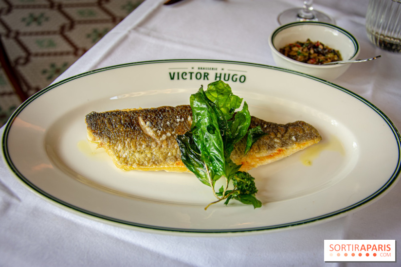 Le renouveau de la Brasserie Victor Hugo à Paris , les photos