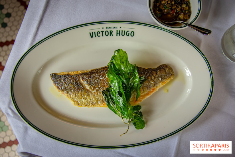 Le renouveau de la Brasserie Victor Hugo à Paris , les photos