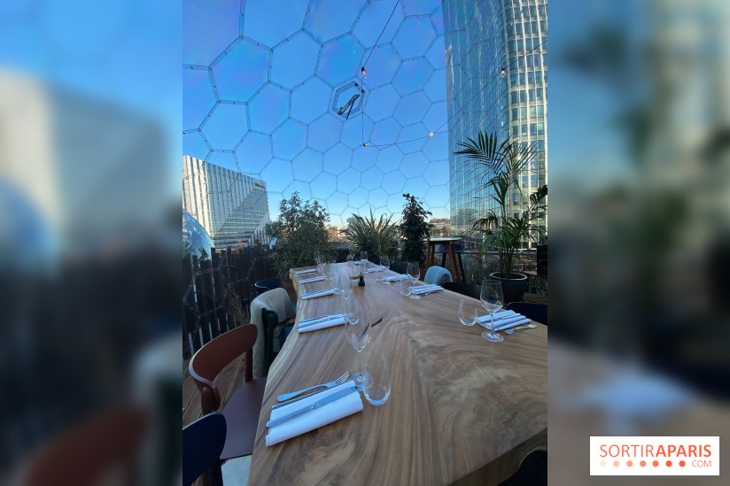 La bulle Octopus à La Défense 