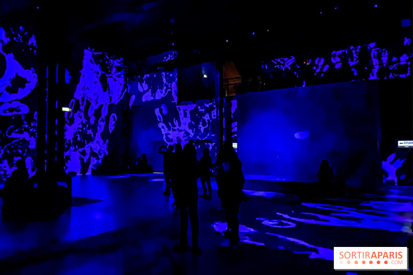 Yves Klein, l’Infini Bleu -  l’album photo