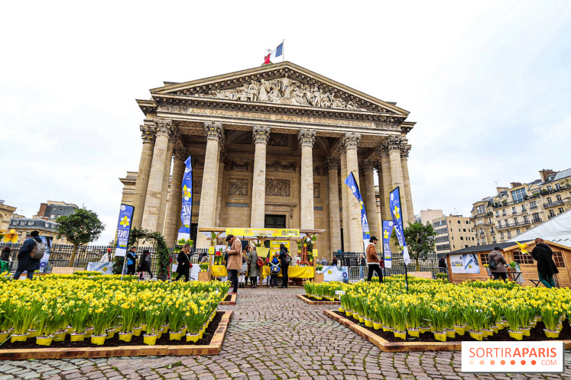 Une Jonquille pour Curie au Panthéon