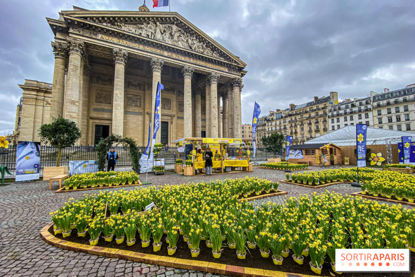Une Jonquille pour Curie au Panthéon