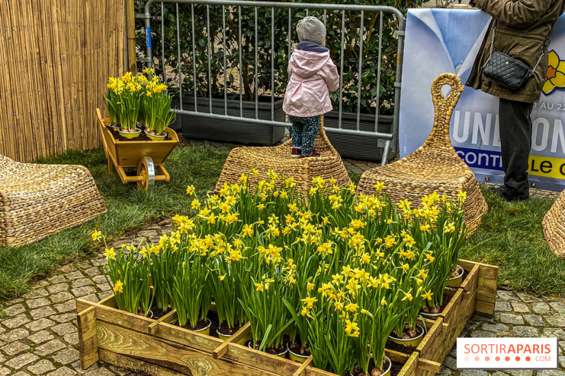 Une Jonquille pour Curie au Panthéon
