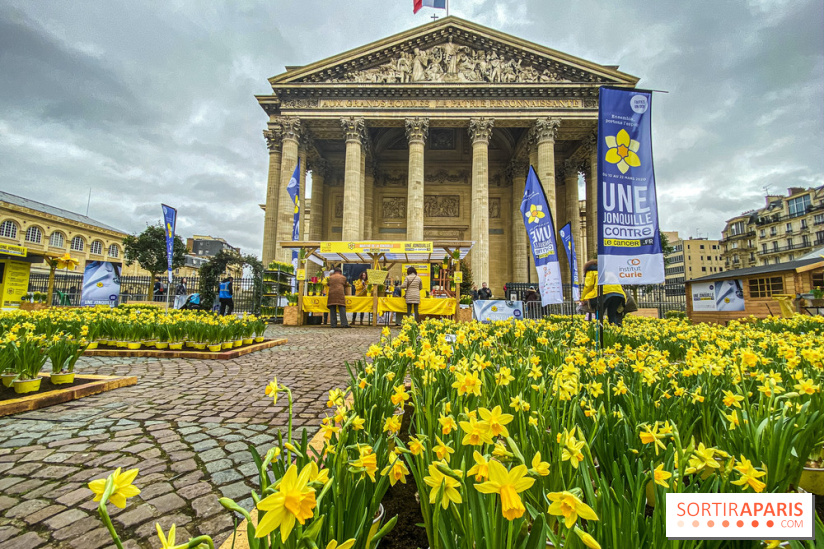 Une Jonquille pour Curie au Panthéon