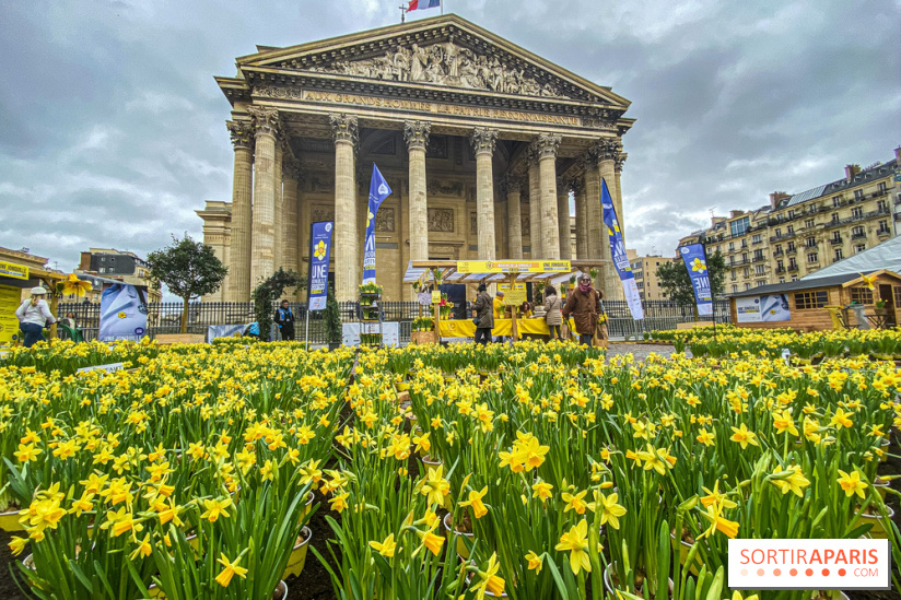 Une Jonquille pour Curie au Panthéon