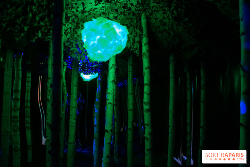 Mad Dimension, le nouveau musée immersif 100 % instagrammable : nos photos