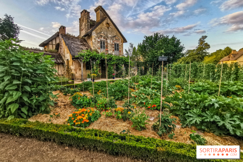 Le Domaine de Trianon et Hameau de la Reine