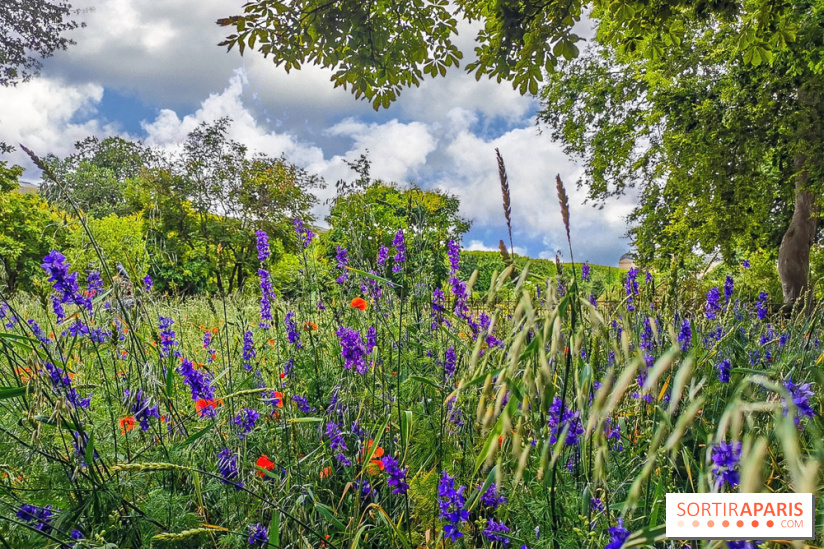 Visuel Paris Jardin des Plantes - Muséum MNHN