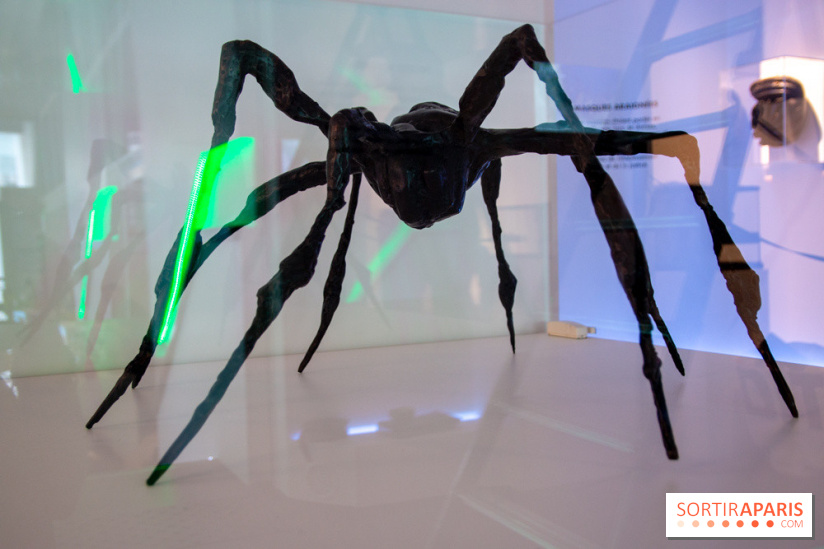 Araignées, Lucioles et Papillons au Musée en Herbe : nos photos