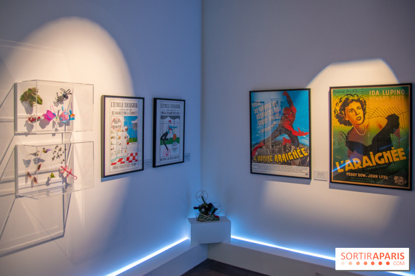 Araignées, Lucioles et Papillons au Musée en Herbe : nos photos