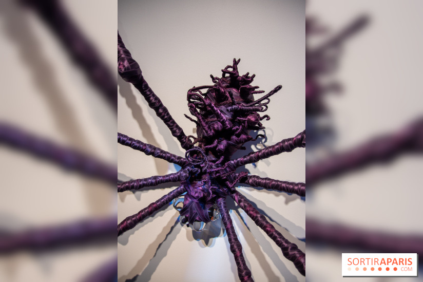 Araignées, Lucioles et Papillons au Musée en Herbe : nos photos