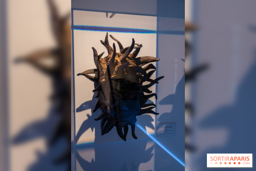 Araignées, Lucioles et Papillons au Musée en Herbe : nos photos