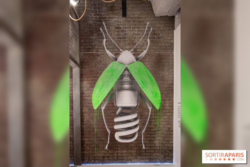 Araignées, Lucioles et Papillons au Musée en Herbe : nos photos