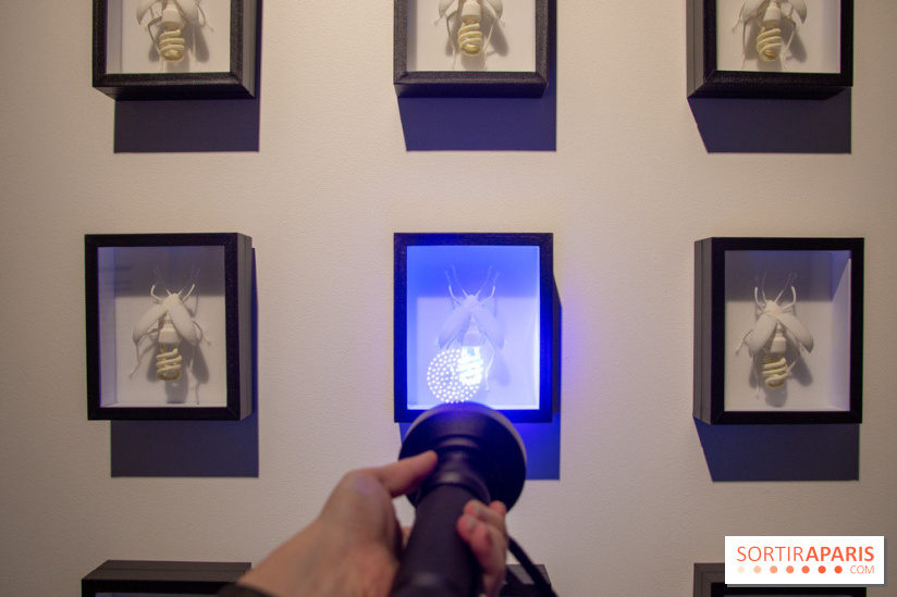 Araignées, Lucioles et Papillons au Musée en Herbe : nos photos