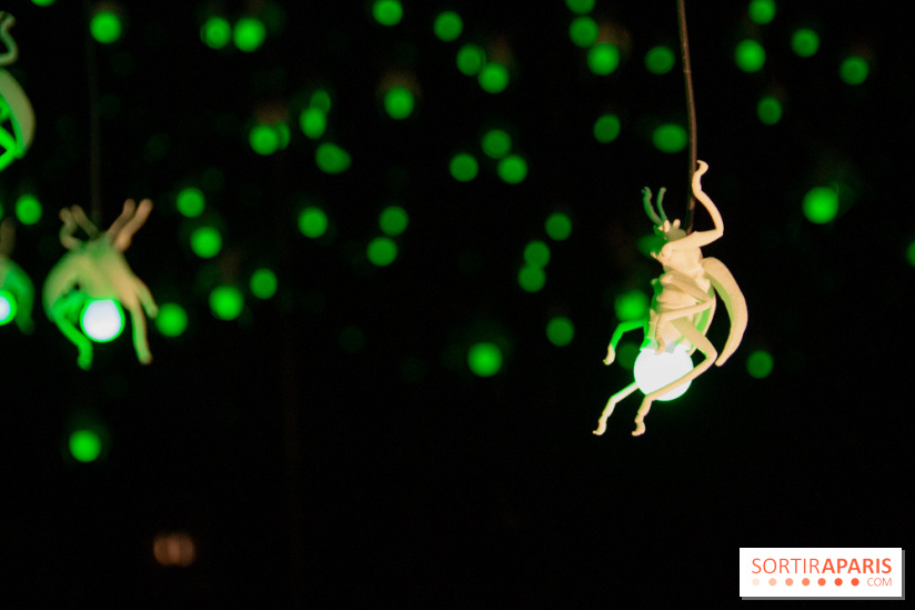 Araignées, Lucioles et Papillons au Musée en Herbe : nos photos