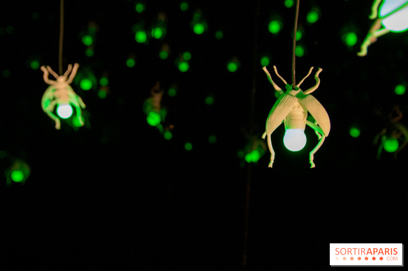 Araignées, Lucioles et Papillons au Musée en Herbe : nos photos