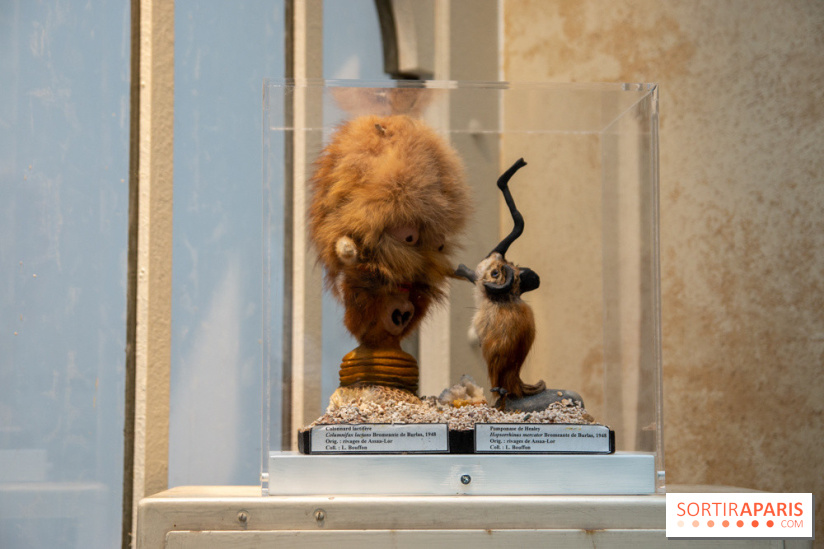 Araignées, Lucioles et Papillons au Musée en Herbe : nos photos