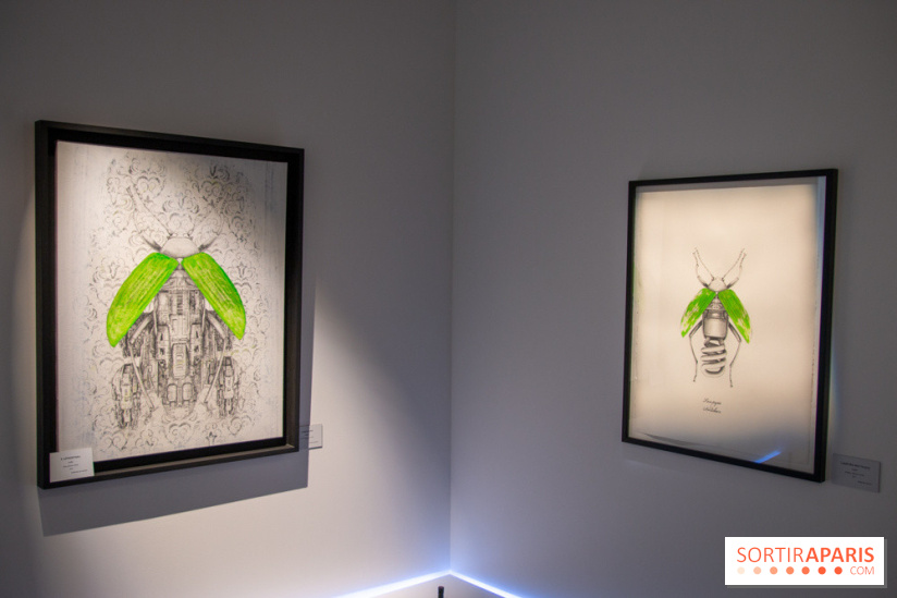 Araignées, Lucioles et Papillons au Musée en Herbe : nos photos