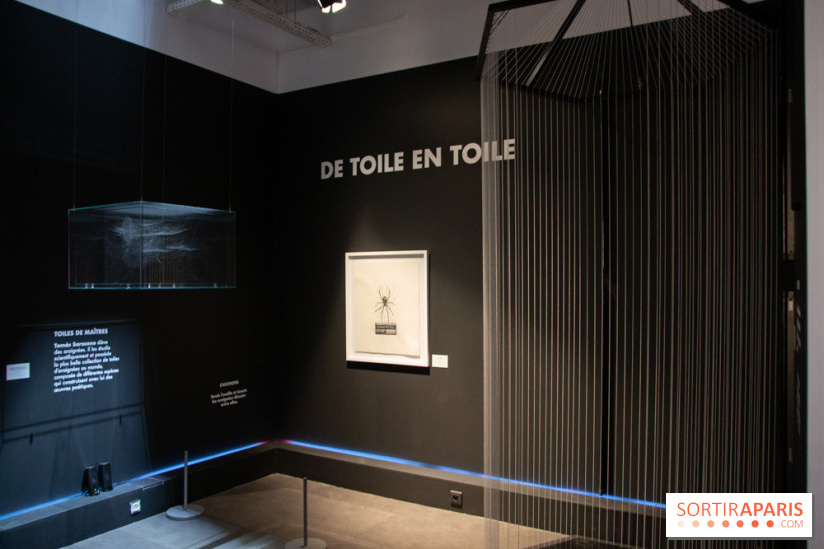 Araignées, Lucioles et Papillons au Musée en Herbe : nos photos