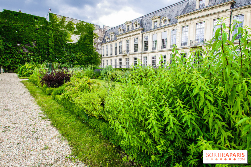 Le jardin des Arts-Albert Schweitzer à Paris, les photos