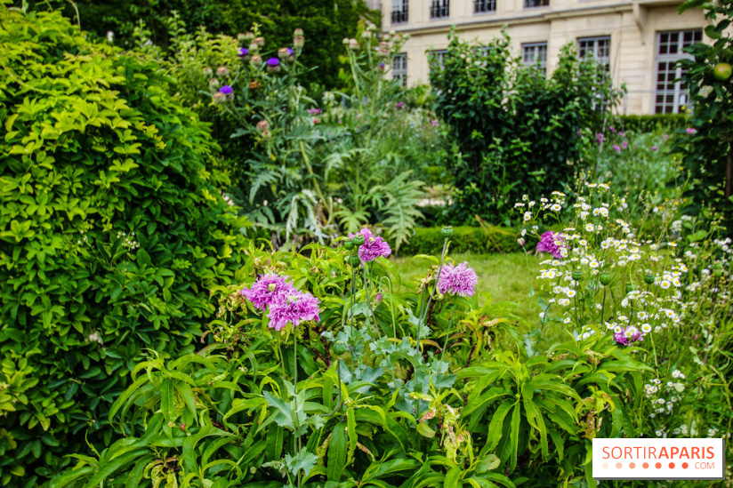 Le jardin des Arts-Albert Schweitzer à Paris, les photos