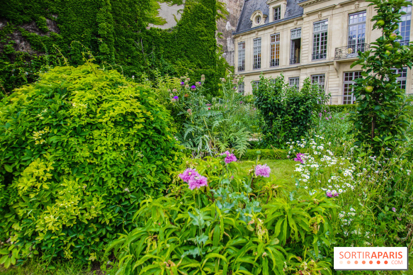 Le jardin des Arts-Albert Schweitzer à Paris, les photos
