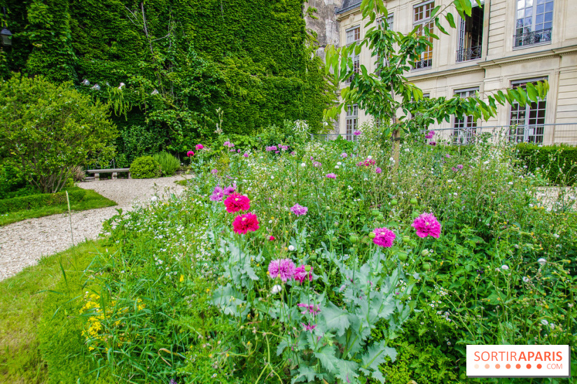 Le jardin des Arts-Albert Schweitzer à Paris, les photos