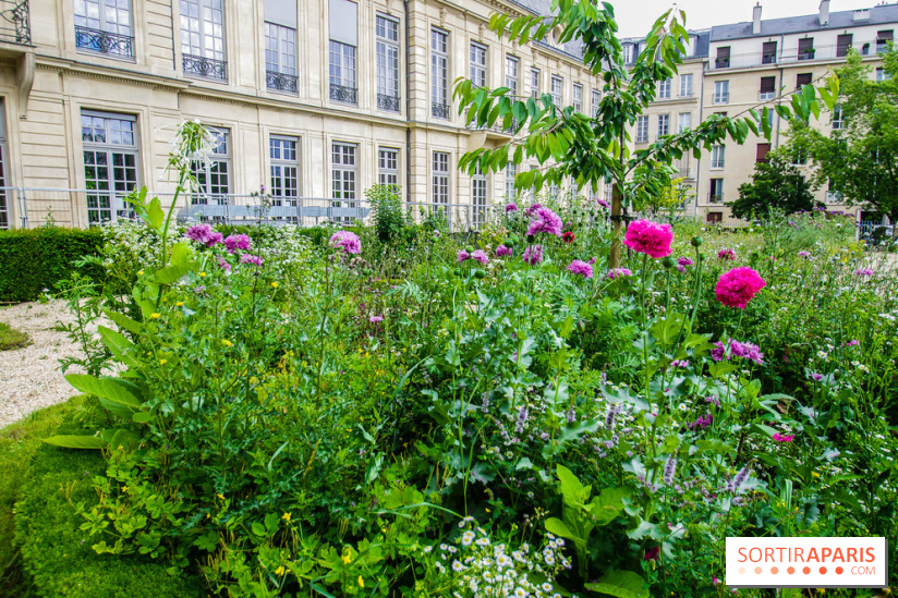 Le jardin des Arts-Albert Schweitzer à Paris, les photos