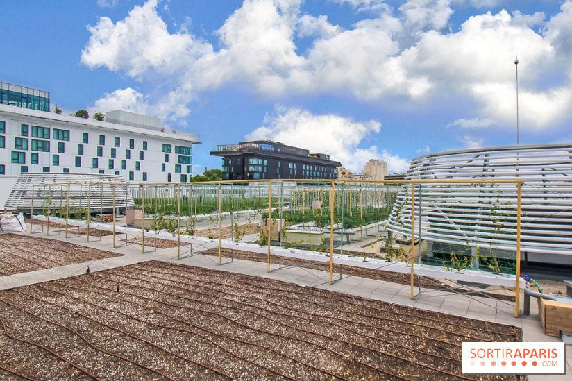 Le Perchoir ferme urbaine Porte de Versailles