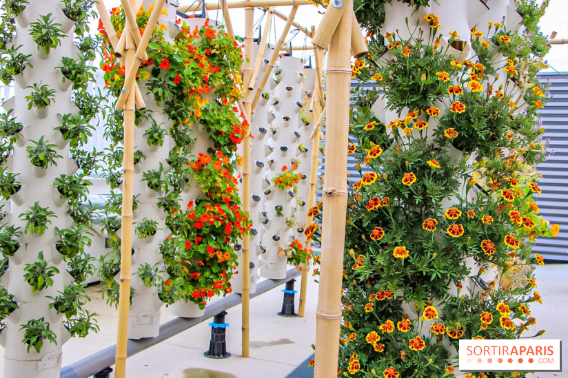 Le Perchoir ferme urbaine Porte de Versailles