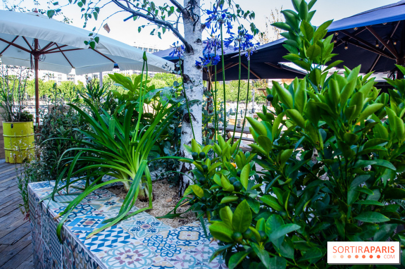 Wanderlust Street Food avec Alexia Duchêne, les photos