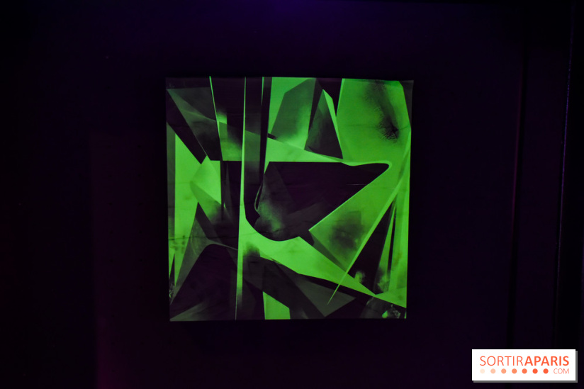 Vision d'ensemble, l'exposition à Fluctuart - nos photos