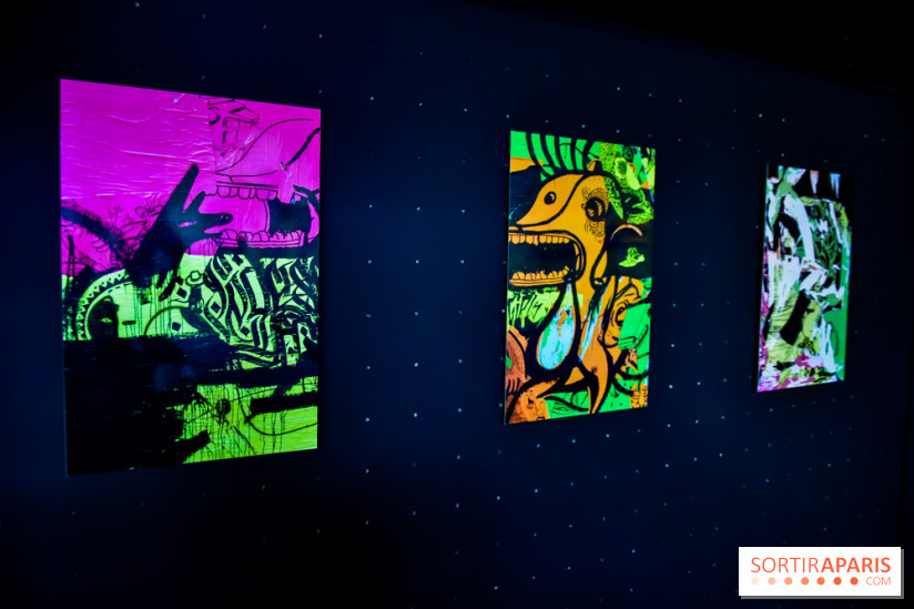 Vision d'ensemble, l'exposition à Fluctuart - nos photos