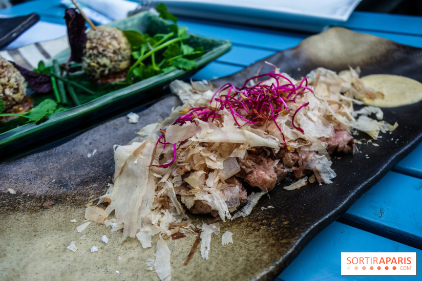 Taisho, la terrasse estivale 2020 à l'Aquarium de Paris, les photos