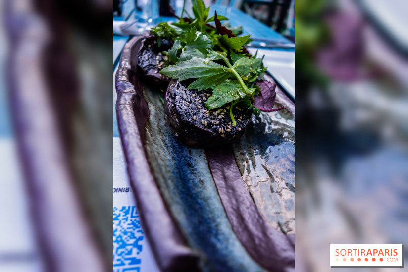 Taisho, la terrasse estivale 2020 à l'Aquarium de Paris, les photos