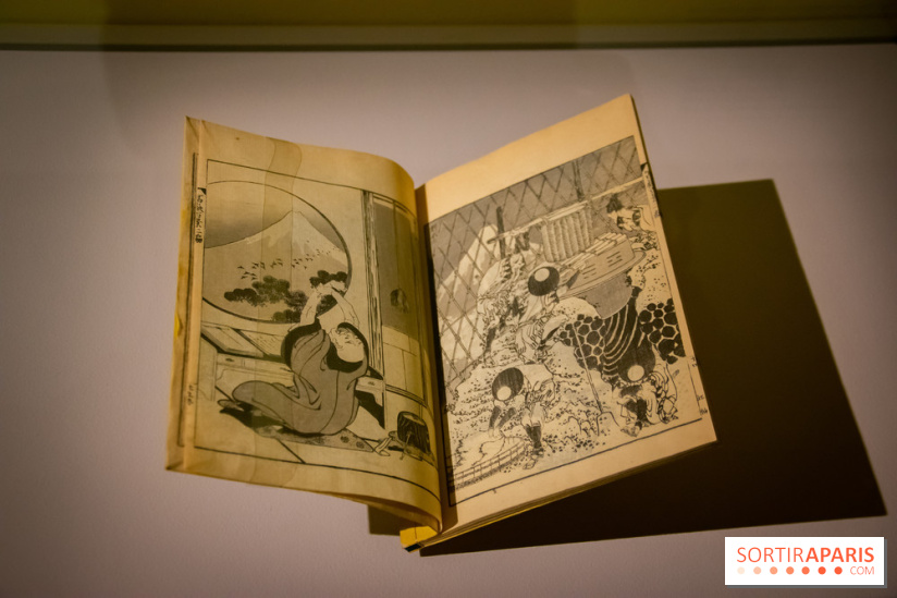 Fuji, pays de neige, l'exposition au musée Guimet - nos photos