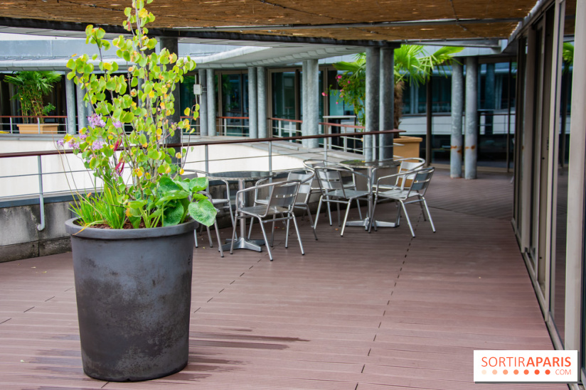 Le Musée Guimet ouvre sa terrasse estivale panoramique