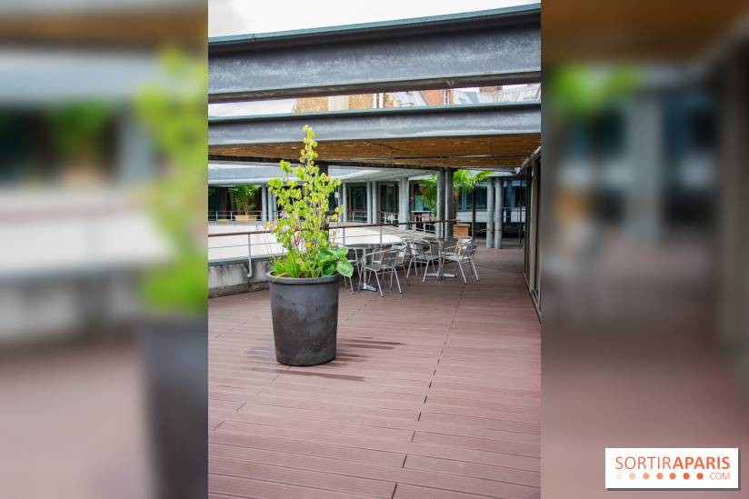 Le Musée Guimet ouvre sa terrasse estivale panoramique