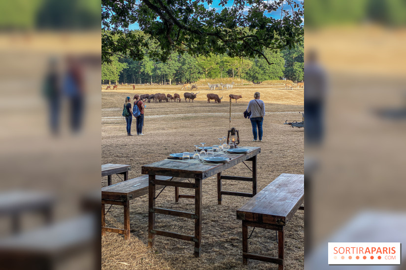 Photos du Dîner Safari du Zoo de Thoiry