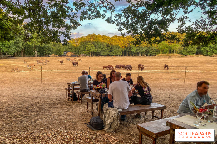 Photos du Dîner Safari du Zoo de Thoiry