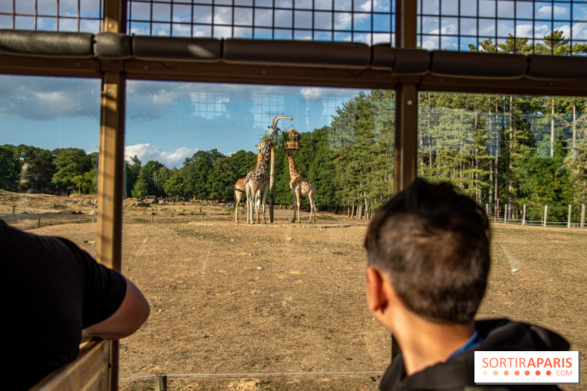 Photos du Dîner Safari du Zoo de Thoiry, Camion