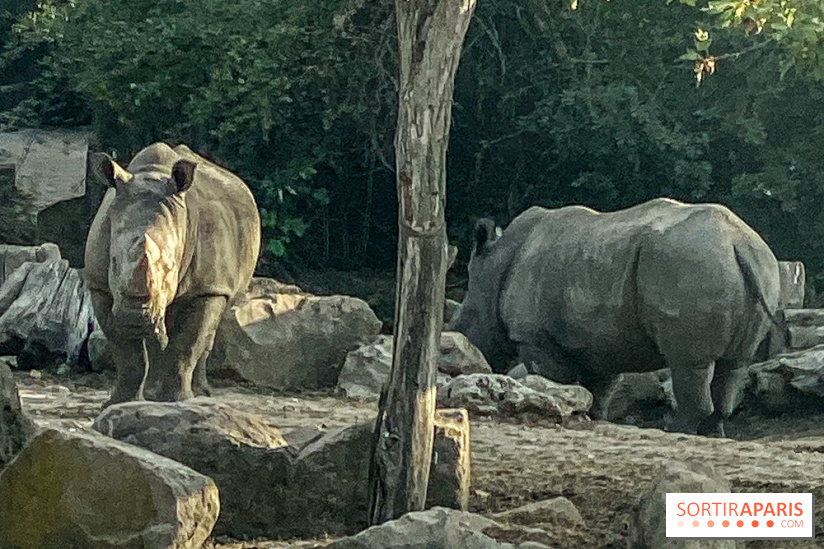 Photos du Dîner Safari du Zoo de Thoiry