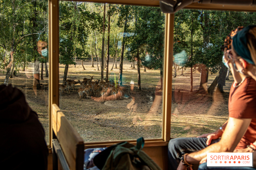 Photos du Dîner Safari du Zoo de Thoiry, camion