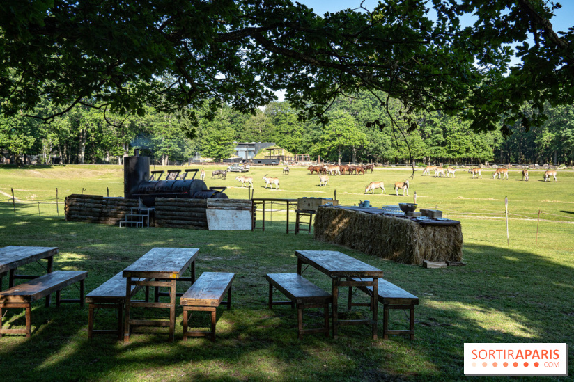 Photos du Dîner Safari du Zoo de Thoiry