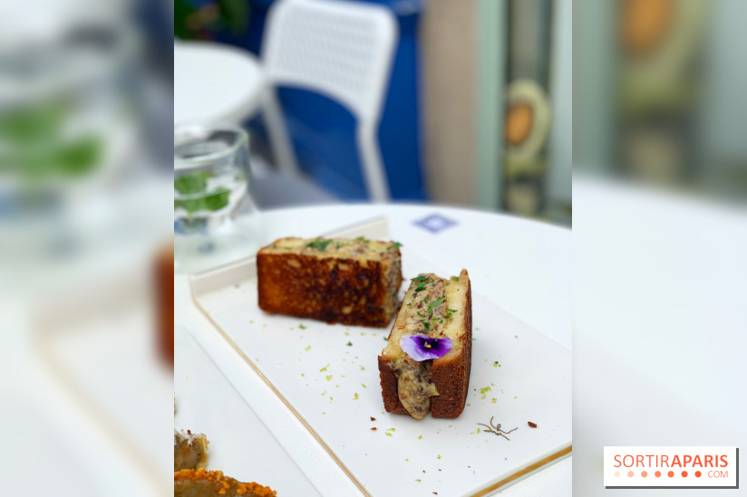 Maison Gazelle - été 2020