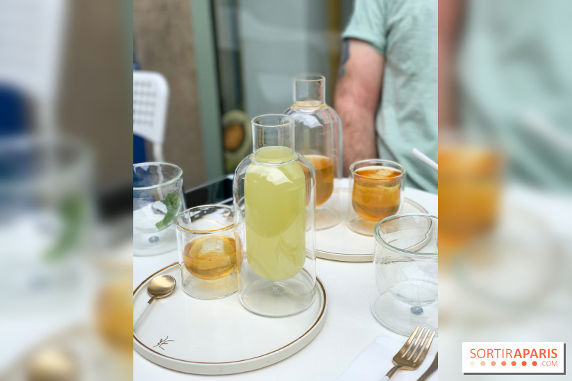 Maison Gazelle - été 2020