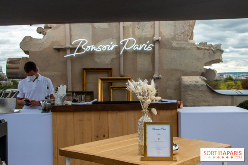 Le Rooftop secret de l'Hôtel de Crillon 