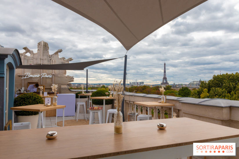 Le Rooftop secret de l'Hôtel de Crillon 