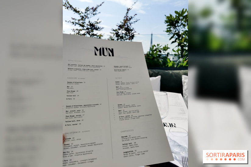 Photos Mun Rooftop Champs-Elysées